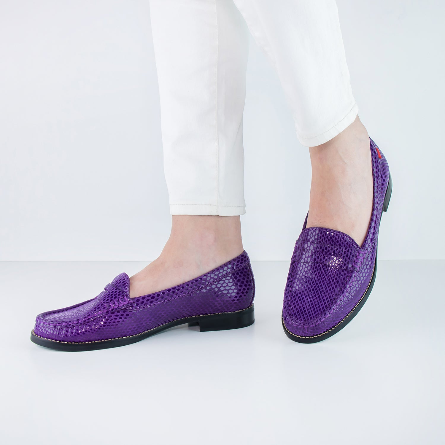 #color_Aubergine Snake