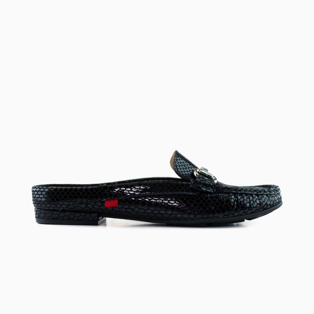 #color_Black Snake