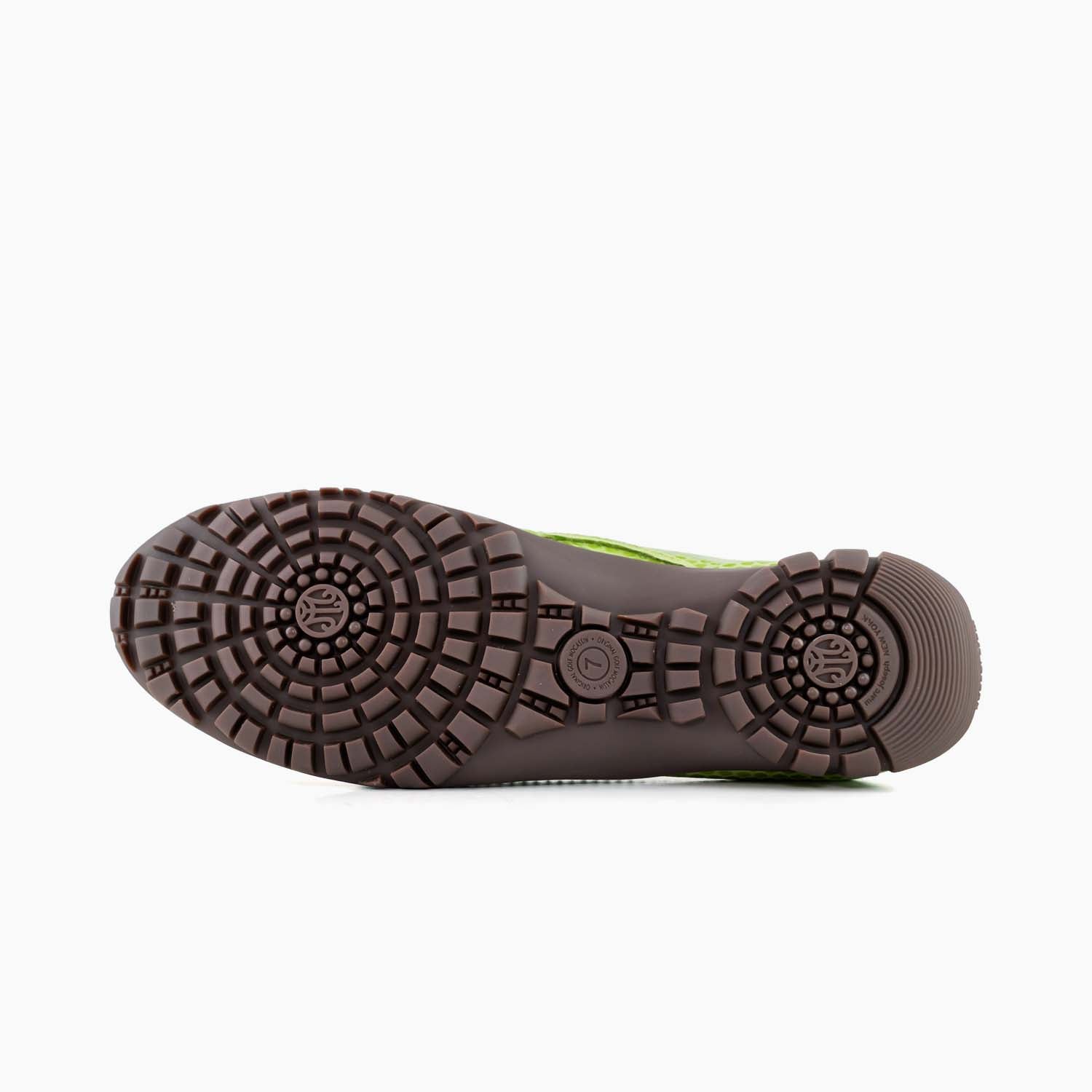 #color_Lime Snake