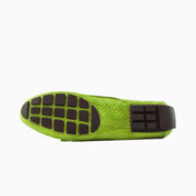 #color_lime snake