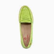 #color_Lime Snake